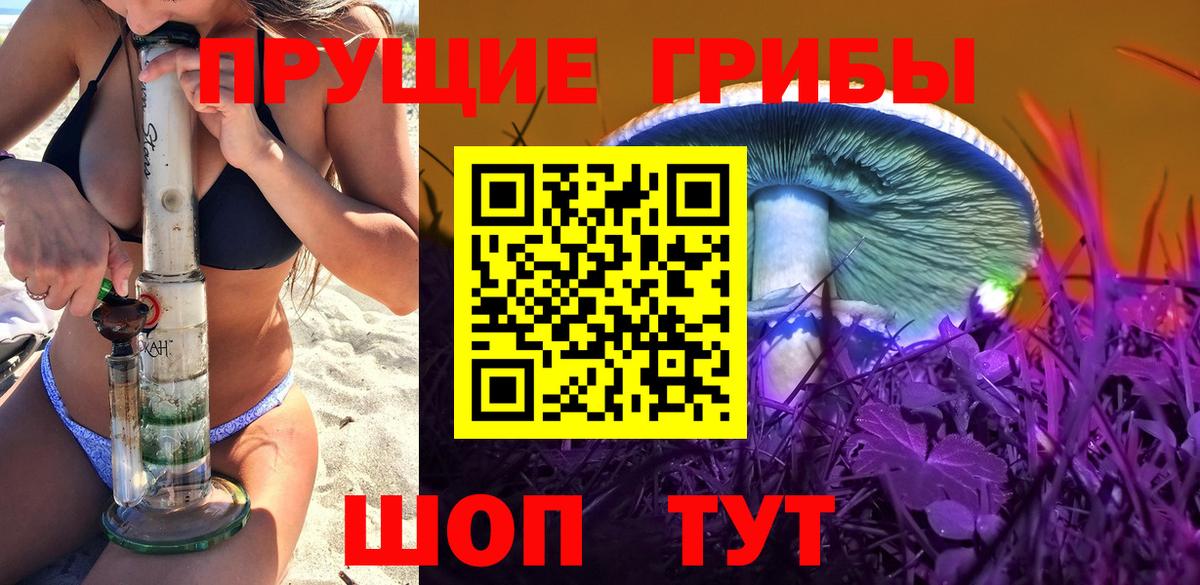 Галлюциногенные грибы прущие грибы Каменка