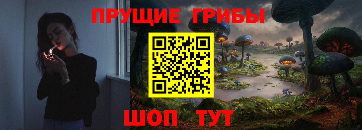 Псилоцибиновые грибы MAGIC MUSHROOMS  Вход с VPN  Галлюциногенные грибы ЛСД  Каменка 